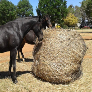 Round Bale Hay Net 4x4FT, 5x4FT, 5x5FT,6x4FT,6x6FT Knotless Polyester Polypropylene Polyethylene Net Slow Horse Feeder Pocket Type