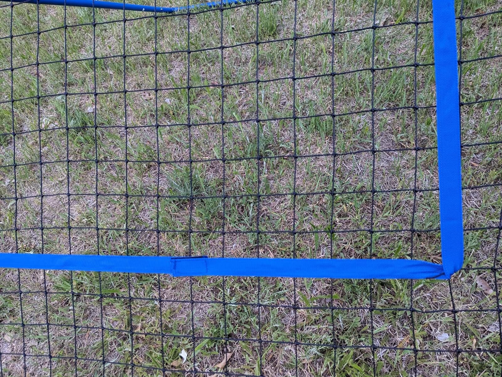 91h8WsQPIbL._SL1600_