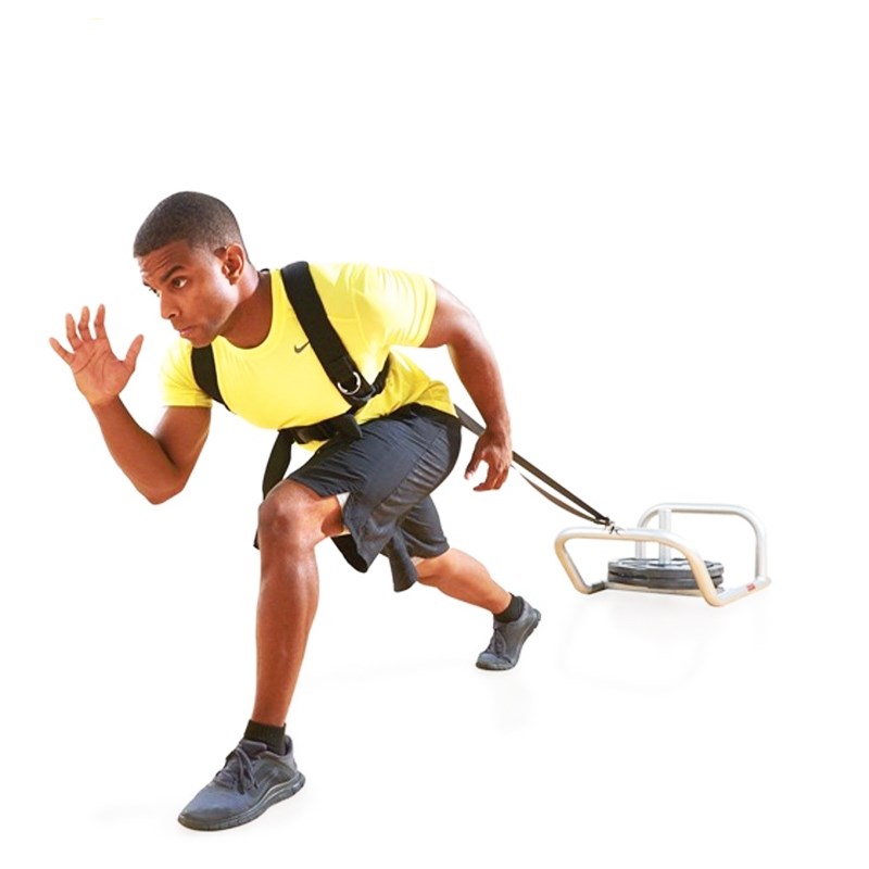 Intop sled pull harness 