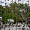 Heavy Duty Rope Climbing Net for Kids & Adult Indoor or Outdoor Activities